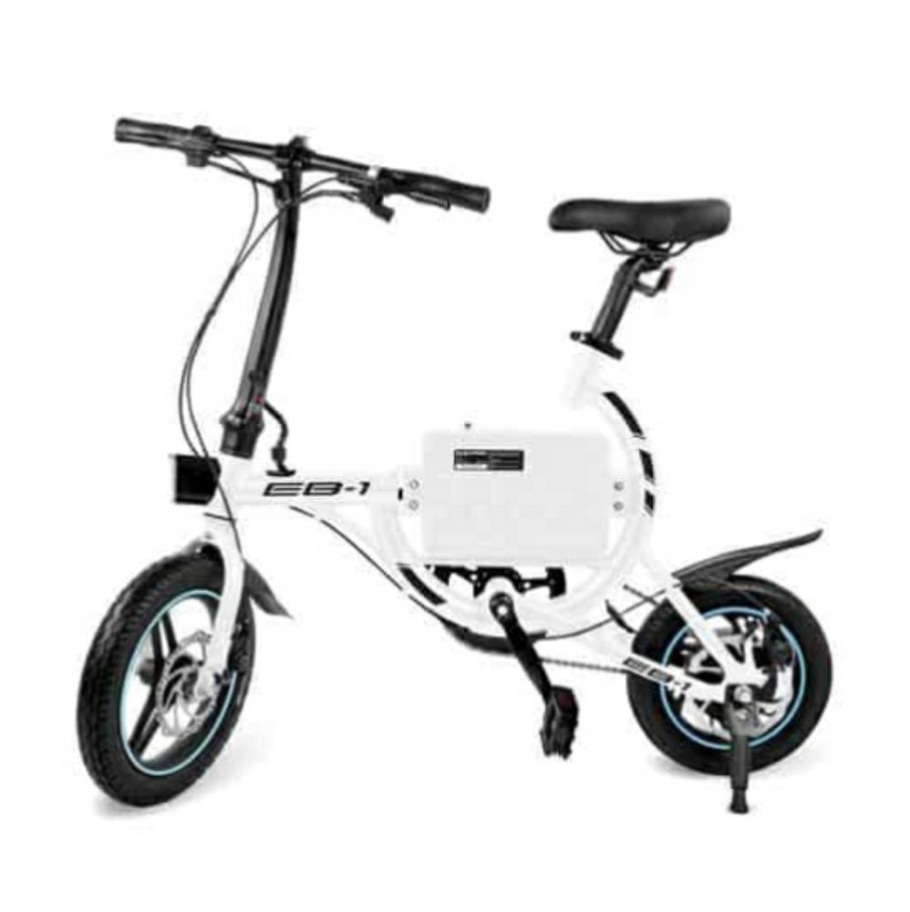 E bike